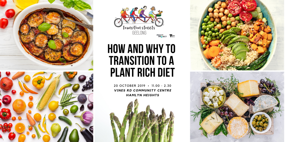 How To Transition To A Plant-Based Diet Safely