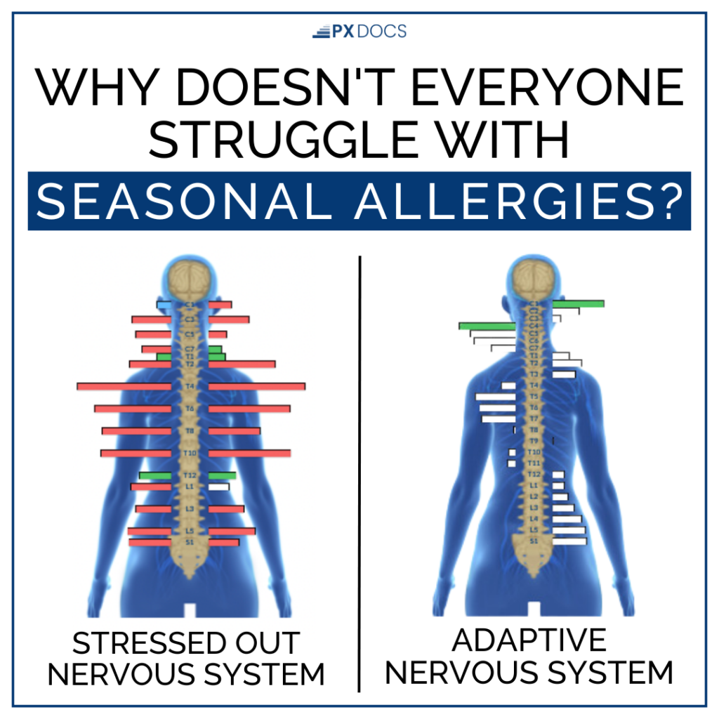 What Are The Causes And Treatments For Seasonal Allergies