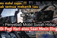 Mobil Susah Hidup Saat Pagi Hari, Ini Penyebabnya - Garasi.id Apa Penyebab Mobil Susah Dinyalakan Di Pagi Hari